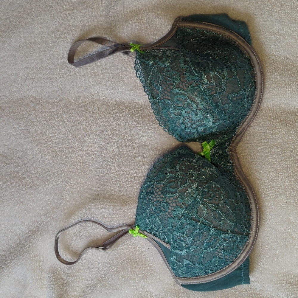 Heidi Klum Teal Bra 32D